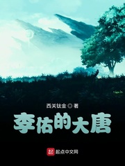 李佑的大唐 作者：西关钛金