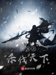 领主之杀伐天下 作者：神天衣