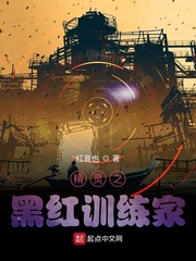 精灵之黑红训练家 作者：红音也