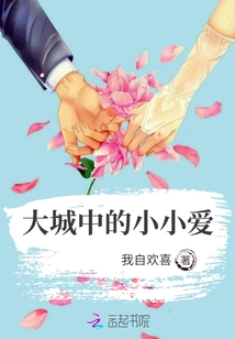 大城中的小小爱txt下载
