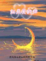似月光的你txt下载