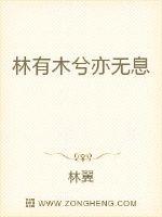 林有木兮亦无息txt下载