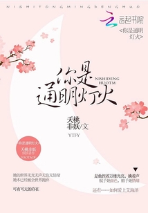 你是通明灯火txt下载