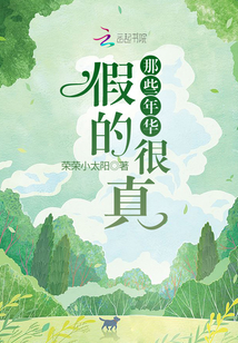 那些年华假的很真txt下载