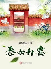 恶女为妻 作者：错负轮回