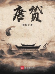 唐赟》全本 作者：晋城