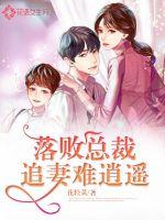 落败总裁追妻难逍遥 作者：花轻黄