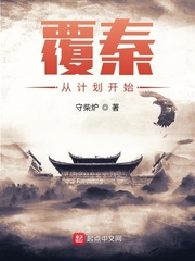 覆秦从计划开始 作者：守柴炉