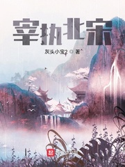宰执北宋 作者：灰头小宝2