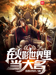 在忍界当大名 作者：夜醉木叶