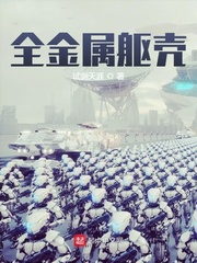 全金属躯壳 作者：试剑天涯