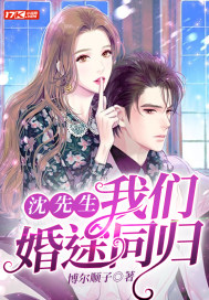 沈先生，我们婚途同归 作者：博尔顺子