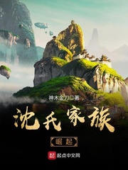 沈氏家族崛起txt下载