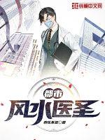 都市风水医圣 作者：养乐不多