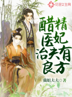 醋精医妃治夫有良方 作者：戴姐夫夫