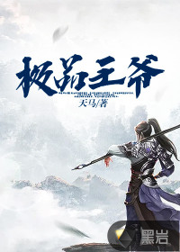 极品王爷 作者：天马