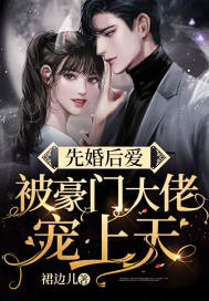 先婚后爱，被豪门大佬宠上天！ 作者：裙边儿