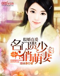 假婚真爱:名门贵少俏萌妻
