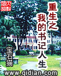 重生之我的书记人生 作者：宝石猫