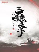 三国庶天子 作者：陈安野