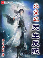 北宋之天生反贼 作者：北冥老鱼