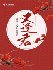又逢君 作者：寻找失落的爱情