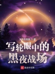 写轮眼中的黑夜战场 作者：少年出英雄