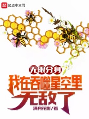 无限分身：我在吞噬星空里无敌了 作者：满身花影