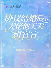 协议结婚后，大佬他天天想官宣 作者：顾临希