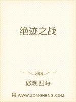 绝迹之战 作者：傲观四海