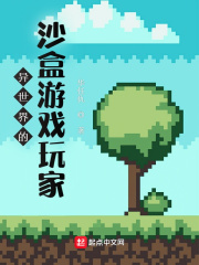 异世界的沙盒游戏玩家 作者：华任仇