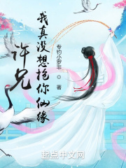 许兄,我真没想抢你仙缘!txt下载