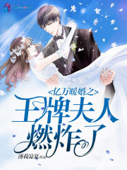 亿万暖婚之王牌夫人燃炸了 作者：薄荷凉夏