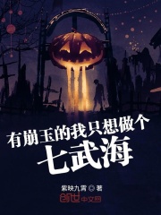 有崩玉的我只想做个七武海》全本 作者：紫映九霄