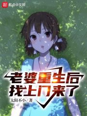 老婆重生后找上门来了 作者：太阳不小