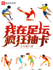 我在足坛疯狂抽卡 作者：王大布