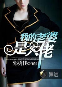 我的老婆是大佬txt下载