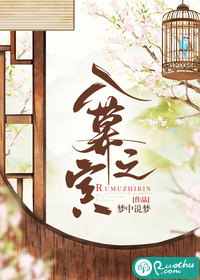 入慕之宾》全本 作者：梦中说梦