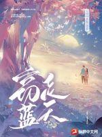 窃走蓝天txt下载