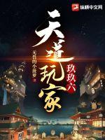 天道玩家玖玖六txt下载