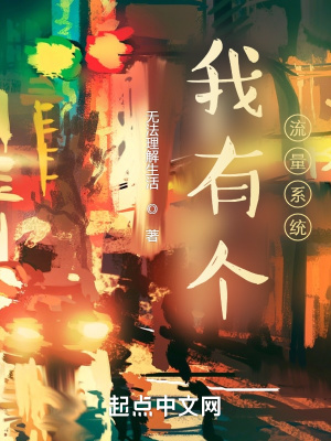 我有个流量系统 作者：无法理解生活