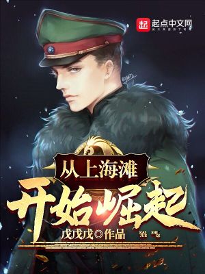 从上海滩开始崛起 作者：戊戊戊