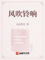 琴覆天下 作者：风光霁月