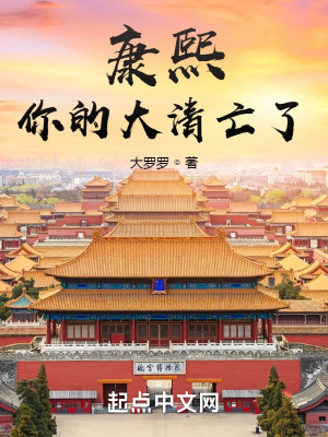 康熙，你的大清亡了 作者：大罗罗