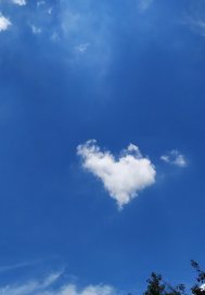 别动我的实习生txt下载