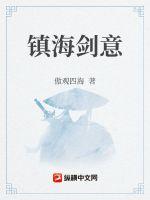 镇海剑意 作者：傲观四海