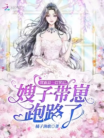 赏霸总一巴掌后，嫂子带崽跑路了 作者：橘子渔歌