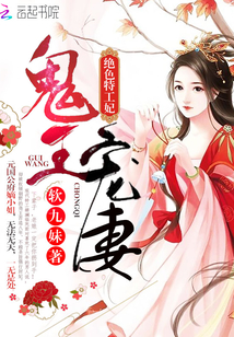 鬼王宠妻：绝色特工妃 作者：沈念辰
