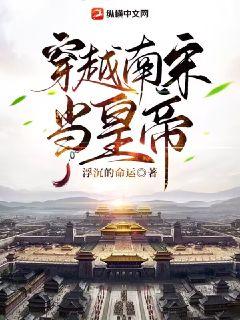 穿越南宋当皇帝txt下载