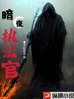 暗夜执法官txt下载